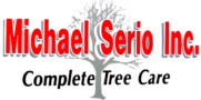 Michael Serio Inc.